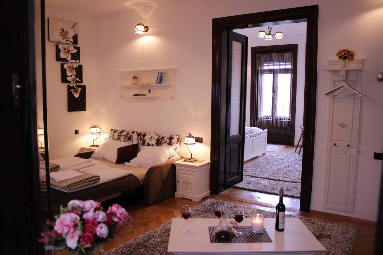 Ella Apartment Timisoara No11 מראה חיצוני תמונה