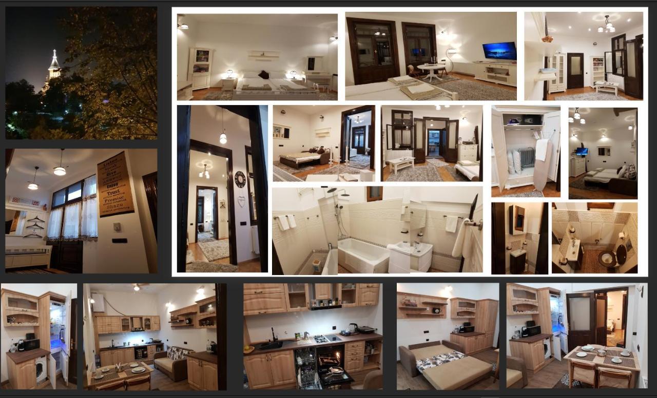 Ella Apartment Timisoara No11 מראה חיצוני תמונה