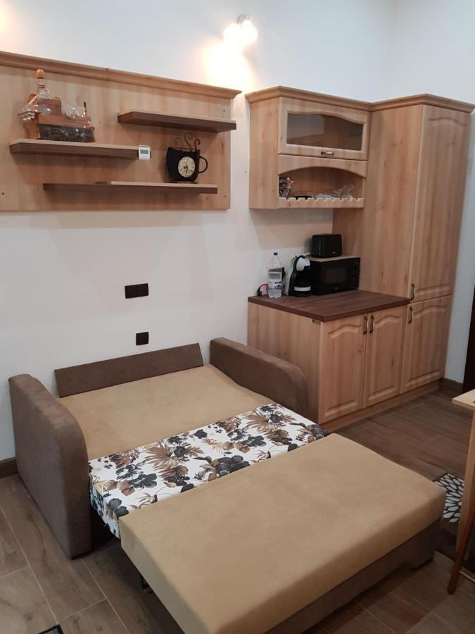 Ella Apartment Timisoara No11 מראה חיצוני תמונה